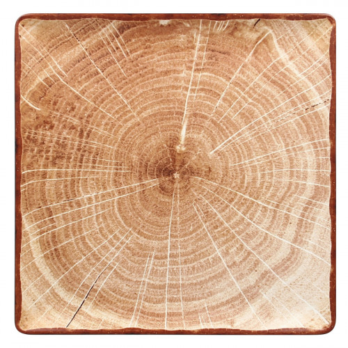 Assiette plate carré brun porcelaine vitrifiée 30,5x30,5 cm Woodart Rak